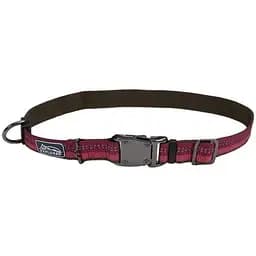 Нашийник для собак Coastal k9 Explorer нейлон 2,5см x 30-45 см