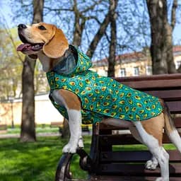 Дощовик для собак з капюшоном Barksi Textile розмір S Авокадо - мініатюра 5