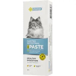 Паста Vitomax Eco Gastro Intestinal для шлунково-кишкового тракту котів 100 г - мініатюра 4
