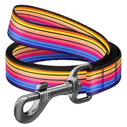 Повідець для собак нейлоновий Waudog Nylon малюнок Лінія 1 L Ш 25 мм Дл 122 см
