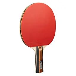 Набір для настільного тенісу Joola Family Advanced 4 Bats 6 Balls (54823) - мініатюра 3