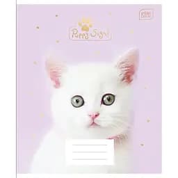 Набор тетрадей ученических Interdruk Premium I Love Pets А5 в клетку 12 листов 4 шт. (298553-4)