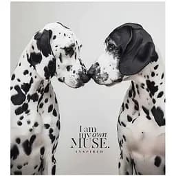 Зошит учнівський "Main portrait" Школярик 048-3476K 48 аркушів Різнокольоровий