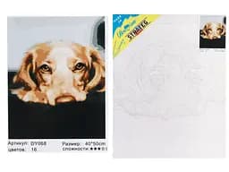 Набор для росписи по номерам Золотой лабрадор, Strateg, 40x50 см, DY068