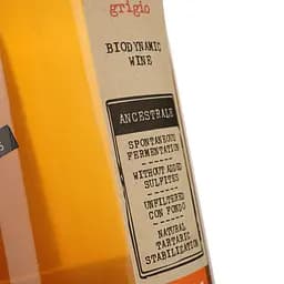 Вино Lunaria Ancestrale Pinot Grigio Terre Di Chieti біле сухе 0.75 л - мініатюра 4