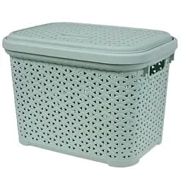 Корзина DIOMEDEO с крышкой 18 л светло-фисташковая (К21-374) 