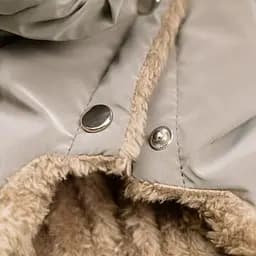Комбінезон Pet Fashion Ego для собак, розмір XS2, бежевий - мініатюра 3