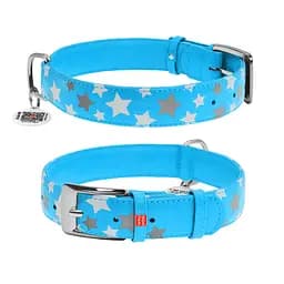 Нашийник для собак шкіряний Waudog Glamour з QR-паспортом візерунок "Зірочка" світлонакопичувальний/світловідбивний XL Ш 35