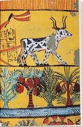 Ancient Egypt on Five Deben a Day - мініатюра 6