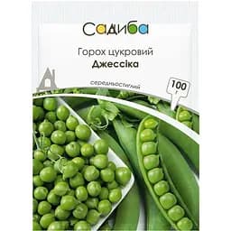 Семена Садиба Горох сахарный Джессика 100 г (000021727)