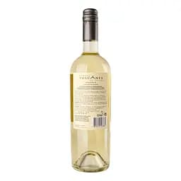 Вино Bodega Volcanes de Chile Reserva Sauvig Blanc 13% біле сухе 0.75 л - мініатюра 3