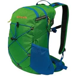 Рюкзак Pinguin Ride 25 2020 Green (1033-PNG 308143)