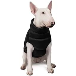 Жилет для собак Pet Fashion Big Boss 3XL чорний - мініатюра 2