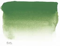 Акварельна фарба Sennelier, полукювета, S3, Зелений оксид хрому (Chromium Oxide Green) - мініатюра 2