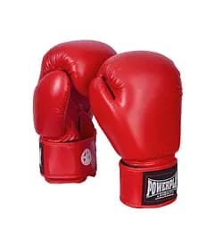 Боксерские перчатки PowerPlay 18 унций fit0011748
