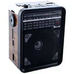 Радіоприймач з USB-виходом GOLON RX-9100 Чорний з коричневим