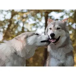 Картина за номерами ArtCraft Більше ніж дружба 40x50 см (11605-AC)