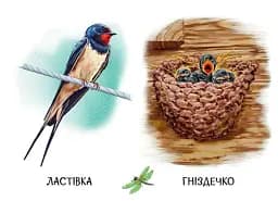 22 картинки. Хто живе у будиночку - - мініатюра 2