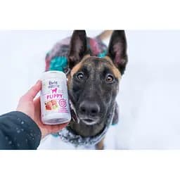 Вітаміни для цуценят Brit Vitamins Puppy для здорового розвитку 150 г - мініатюра 3