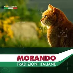 Вологий корм для стерилізованих котів Morando Tradizioni Sterilized беззерновий шматочки в желе з лососем та тунцем 85 г - мініатюра 6