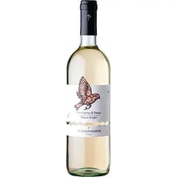 Вино Terre Passeri Pinot Grigio di Pavia IGT біле сухе 0.75 л