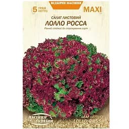 Салат Листовий Лолло Росса Насіння України Maxi 5 г