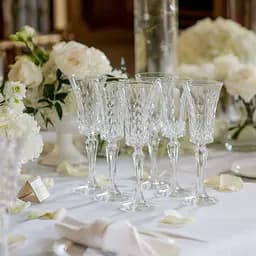 Набір келихів для шампанського TS Kitchen під кришталь 6 штук 150 мл прозорий HP4156