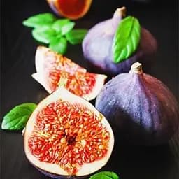 Саджанець Agro-Market Інжир Кримський 44 (25967) 1 шт. в упаковці