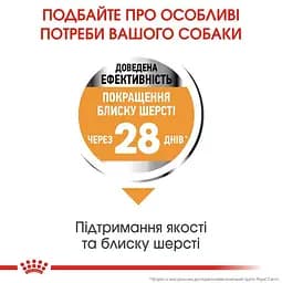 Сухий корм для собак малих порід з тьмяною та сухою шерстю Royal Canin Mini Coat Care, 1 кг (1220010) - мініатюра 4