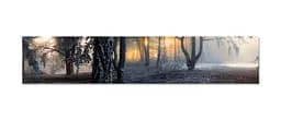 Кухонний фартух Туманний Ліс 3Д вінілова наклейка для кухні ПВХ дерева Природа Сірий Happy Pocket Z181337 - мініатюра 7