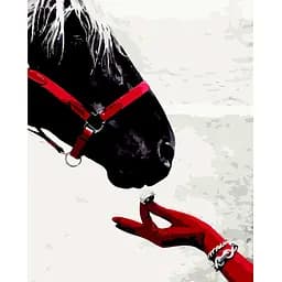 Картина за номерами ZiBi Art Line Перед забігом 40х50 см (ZB.64247)