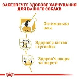 Сухий корм для дорослих собак породи Лабрадор Ретрівер Royal Canin Labrador Retriever Adult, 3 кг (2487030) - мініатюра 6