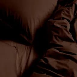 Комплект постільної білизни Cosas Cocoa brown Євро варена бавовна каштан (82WashedCotton_CocoaBrown_El-CocoaBrown_200) - мініатюра 2