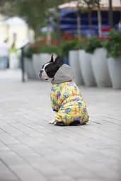 Комбінезон для собак Waudog Clothes, Рік та Морті 3, L55 - мініатюра 4