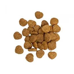 Ласощі для котів Savory для здорового росту кошенят індичка з журавлиною 50 г (4820232631393) - мініатюра 2