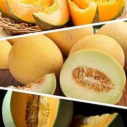 Диня "Суміш кращих популярних сортів" ТМ "Весна"  5 г (45531)