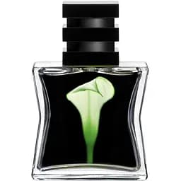 Парфумована вода SG 79/STHLM № 22, 30 мл