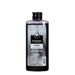 Оттеночный ополаскиватель для волос Delia Cosmetics Cameleo серебристый 200 мл