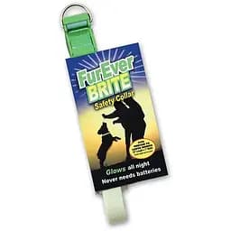 Нашийник для собак Davis FurEver Brite Safety Collar світиться