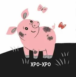 Моя контрастна книжка. Звірята і звуки - мініатюра 4