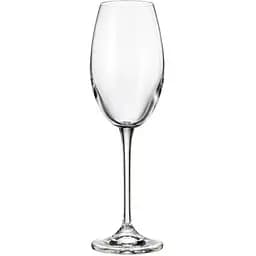 Набір келихів для вина Rocco Fulica 300 мл 6 шт.