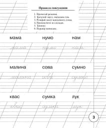 Українська мова. 1 клас. Зошит для списування - мініатюра 2