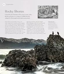The Ocean Book: The Stories, Science, and History of Oceans - мініатюра 3