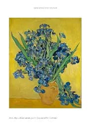 The World According to Vincent van Gogh - мініатюра 7