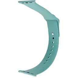 Ремешок Apple Watch Silicone 38/40/41 мм Сactus L