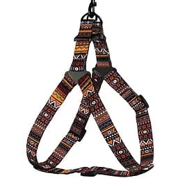 Шлея для собак BronzeDog Urban Етнічний помаранч S 40-53 см