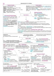 Історія України. НМТ. Опорний конспект. Повний курс у 49 таблицях для підготовки до ЗНО і НМТ. 2026 - мініатюра 6