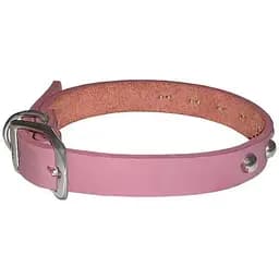 Ошейник для собак Coastal Circle-T Fashion кожаный (SP01705S_PNK14)