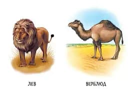 22 картинки. Прогулянка зоопарком - - мініатюра 4