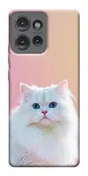 Чохол Demsky Pastel kitty для Motorola Edge 50